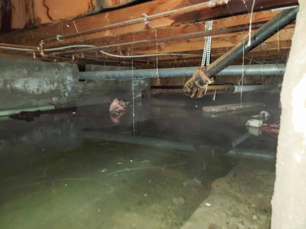 Best Water damage restoration specialists  in Greenfield, CA