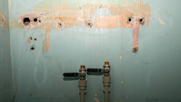 Best Ceiling water damage repair  in Greenfield, CA